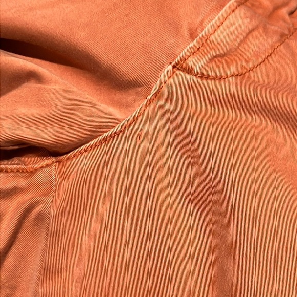 Pilcro and the Letterpress Pink Embroidered Floral Hyphen  Pants - Picture 9 of 9